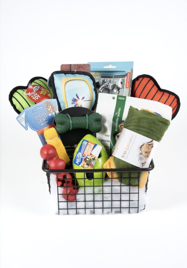 Pampered Pooch Dog Gift Basket with toys treats and pet blanket in wire basket