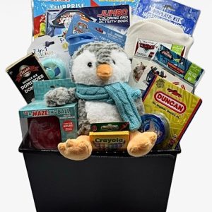 Boys get well soon basket care package with activities, games, plush, fleece blanket