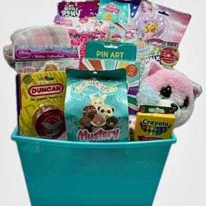 Premium custom laser engraved girls get well soon basket care package with plush animal and cozy blanket